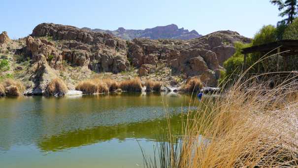 Boyce Thompson Arboretum - The Largest Arboretum In Arizona - Cactus Atlas