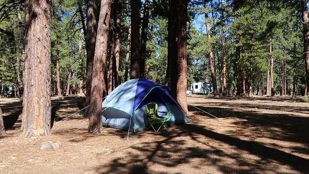 North Rim Campground at Grand Canyon National Park - Cactus Atlas